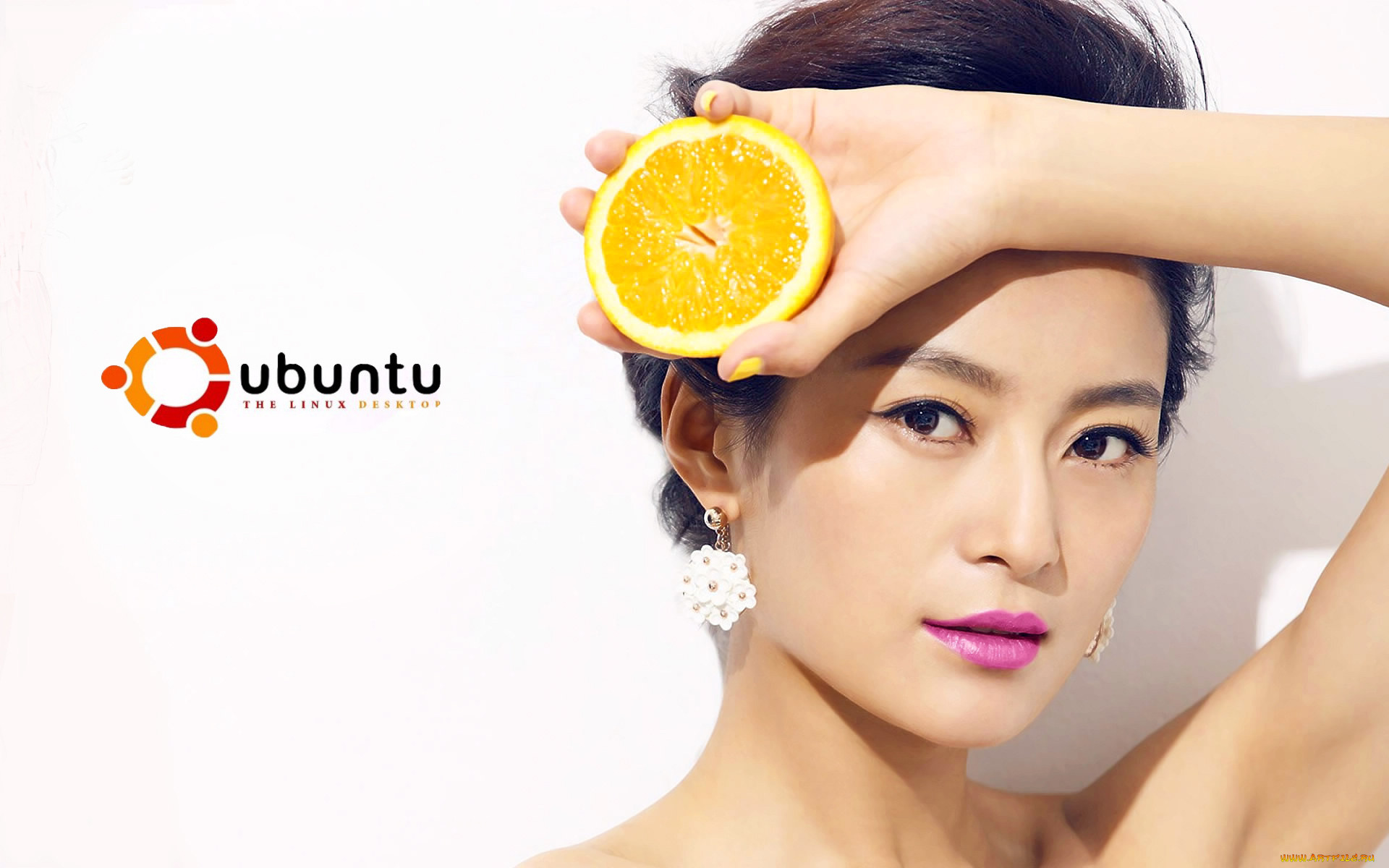 , ubuntu, linux, , , 